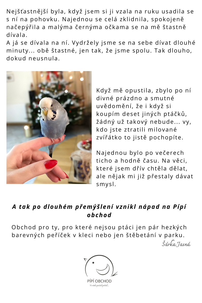 BLOG o Pípí obchodu (5)